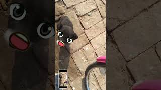 A Day in My Student Life | Daily Routine Vlog😂 ll NTPC Preparation vlog today #minivlog #funny