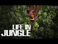 बिना किसी चिजों के क्या हम जंगल में कुछ दिन बिता सकते है..? | Life In Jungle