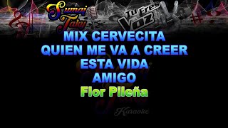 FLOR PILEÑA MIX CERVECITA QUIEN ME VA A CREER ESTA VIDA AMIGO KARAOKE