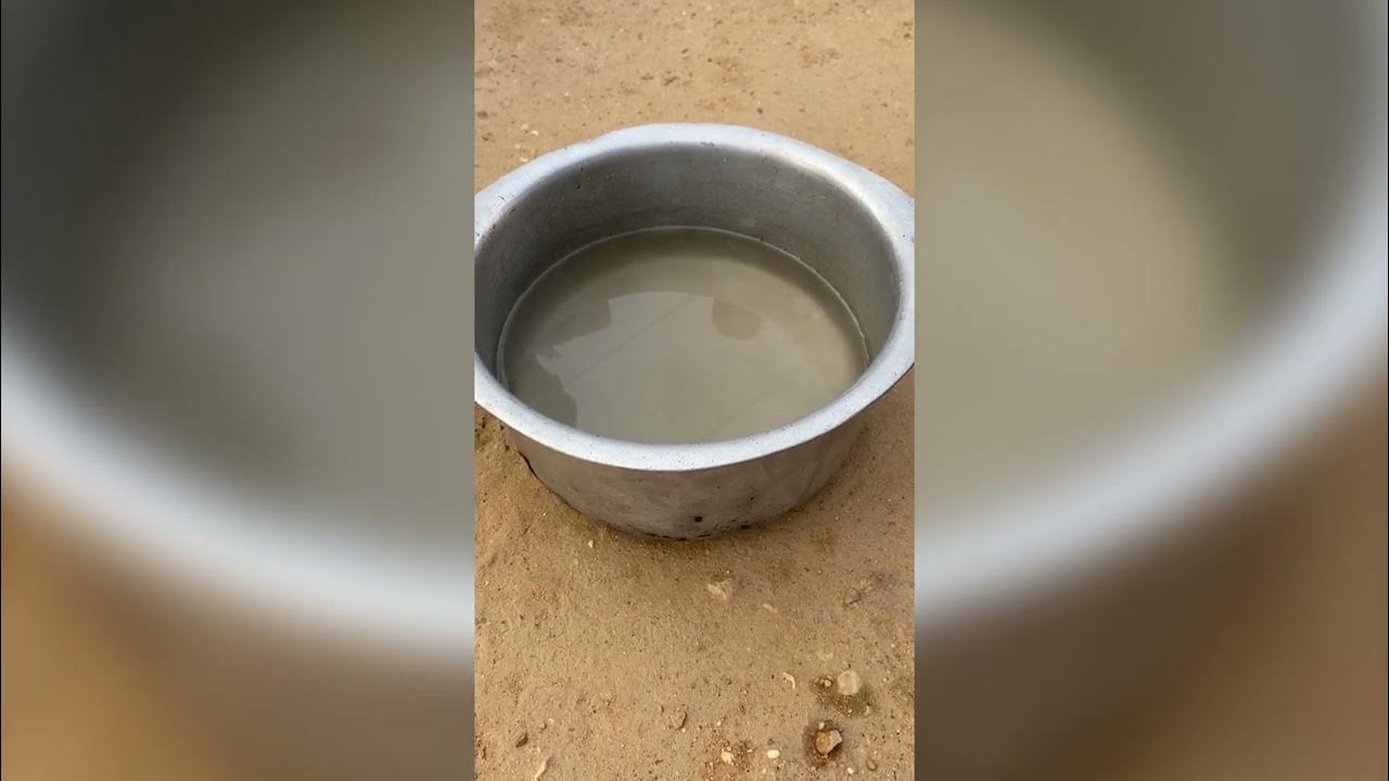 Treatment of water for drinking purpose using alum, coal, and chlorine