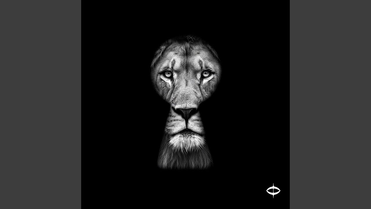 The Ceiling Is Leaking (Night) (feat. Vague Signal)