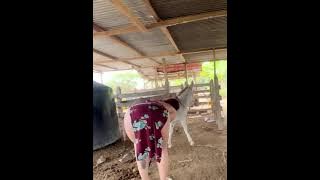 HD New Porn Videos - Free Porn Sex Videos XXX Movies