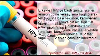Erkekte Hpv Testi Hpv Tipleme Dna Testi Erkeklerde Nasıl Yapılır