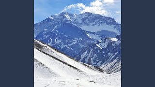 Nature Enhanced (feat. ChillYourLife)