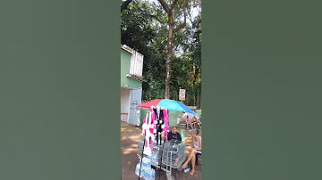 Entrada Principal Do Zoológico De Ribeirão Preto SP 