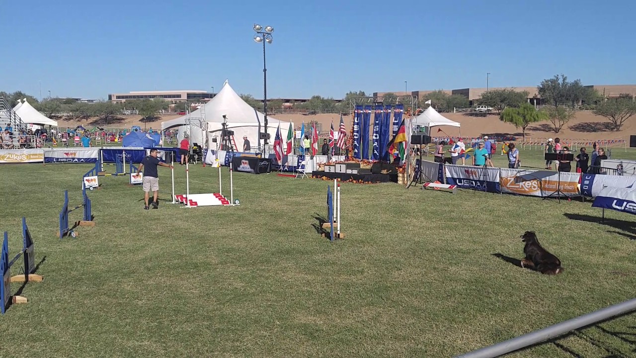 Hop Cynosport 2016 Steeplechase Semifinals