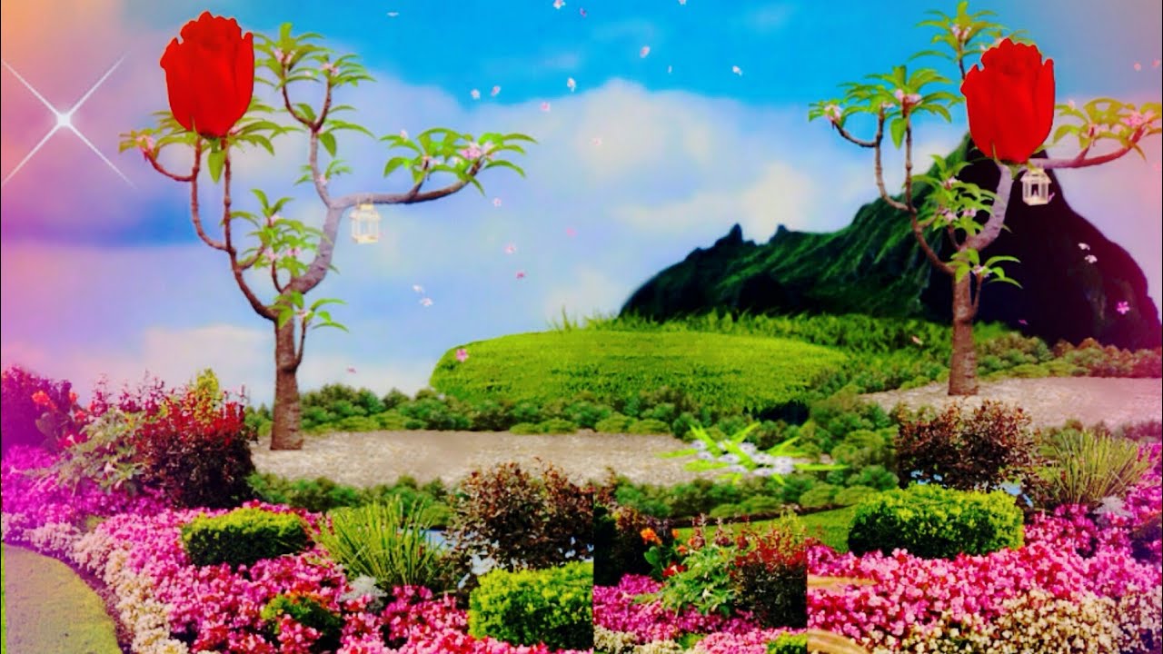 Garden background video.new.2019