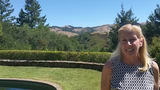 Coming Soon - A not to be missed Nicasio property
