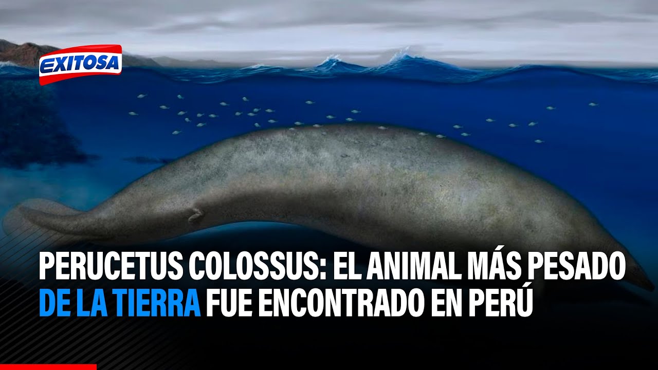 Cual es el animal mas veloz del mundo