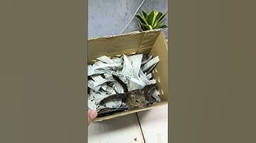 2 e Sóc Đất ship Châu Đức - Trương Tuấn Sóc Cảnh