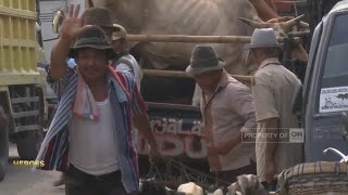 CNN Indonesia Heroes - Sahid (Membangun Desa Melalui Ternak)