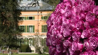 Syam : 1er festival d'art floral à la Villa Palladienne by France 3 Bourgogne-Franche-Comté 1,038 views 2 weeks ago 2 minutes, 2 seconds