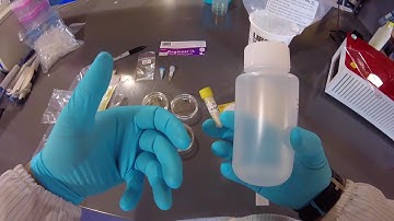 The Engineer-it Kit for genetic engineering full 4 day experiment - follow along!