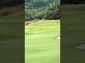 Pete is PURE. Actual. #golf #golfswing #golfing #pure