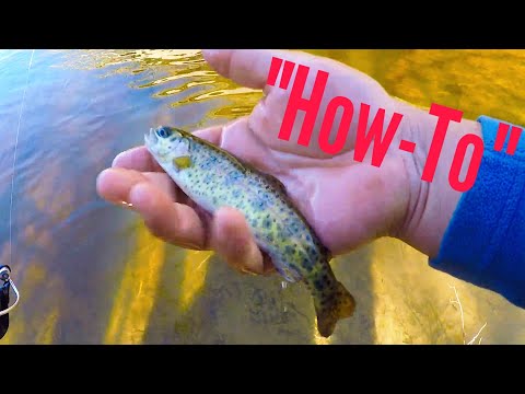 How to catch TROUT using SPINNERS!!