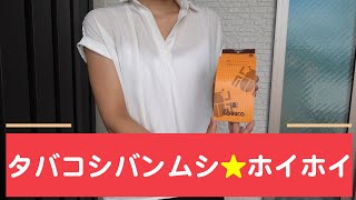 タバコシバンムシを誘引して捕獲　殺虫剤を使わずに駆除する方法　フェロモントラップ・ニューセリコ