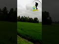 Beautiful Kainakaray | Kuttanad |Alleppey Kerala 2023