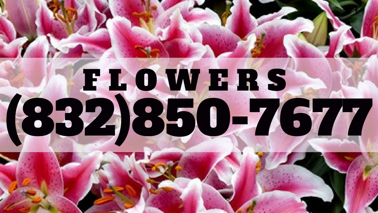 Florist Houston TX | Sending Flowers in Harris County Daily