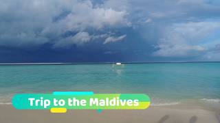 🌴 Maldives Dream Escape: 7 Days on Gulhi Island ☀️🦈
