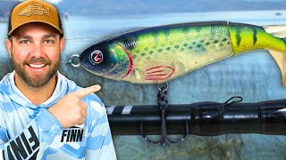 The Top 5 Game Changing Lures Of All Time