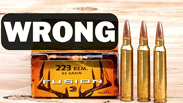 Wrong About The 223 Remington