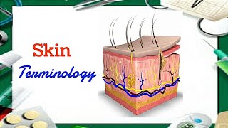 Skin terminology المصطلحات الطبية الخاصة بالجلد