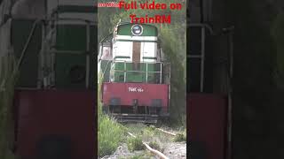 T669 At Nartë, Crossing The Pines