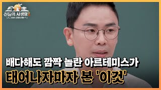 배다해도 깜짝 놀란 아르테미스가 태어나자마자 본 '이것' MBN 230518 방송