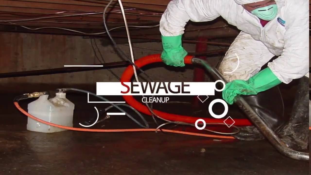 Simi Valley Water Damage Restoration YouTube