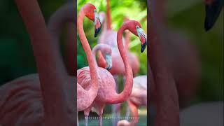 Sarasota has more!  If you're looking for a great place to live Sarasota is for you.