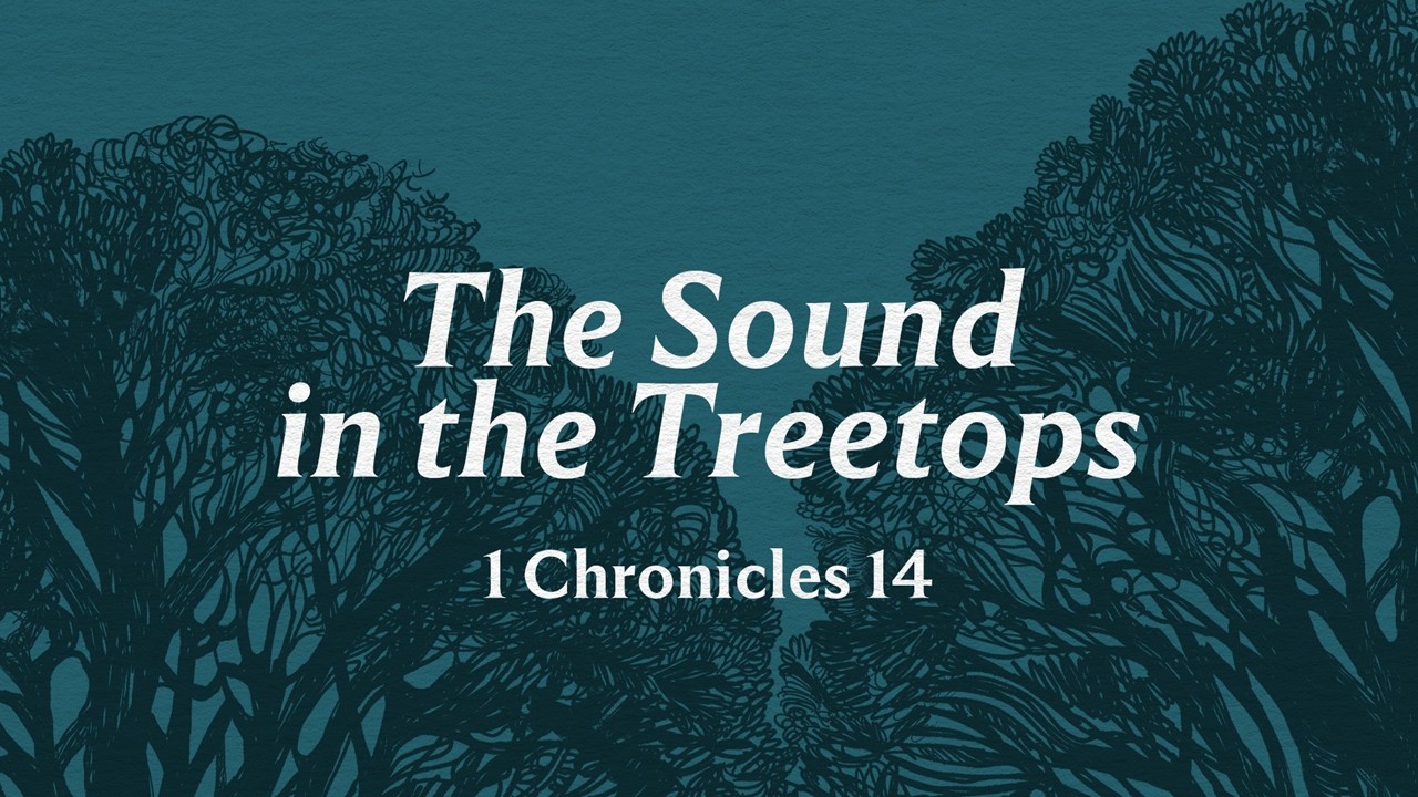 Evening Message: The Sound in the Treetops (09/27/26)