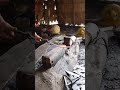 Village blacksmith sedang live sekarang!