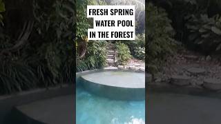 Very Relaxing Spring Pool in the Forest Mountains Alhibe Farm Cebu Philippines @AlhibeFarm