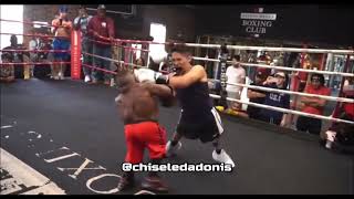 Midget Vs Dwarf Boxing Mini Dababy Tyson Vs Human Tetris Long Limb Thomas