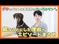 【BTS日本語字幕】グクが飼っているドーベルマンが可愛すぎる！飼うことにした理由やエピソードが意外だった件！どことなく顔似てる？w【ピックアップ動画】
