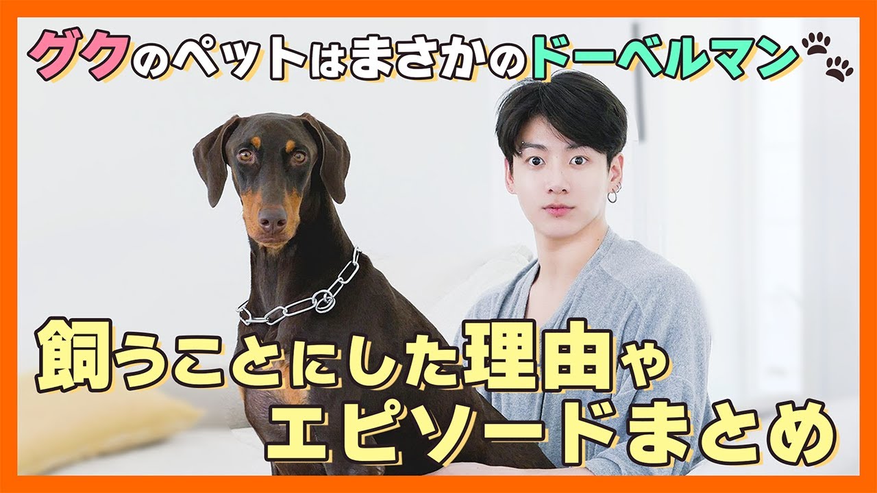 Bts日本語字幕 グクが飼っているドーベルマンが可愛すぎる 飼うことにした理由やエピソードが意外だった件 どことなく顔似てる W ピックアップ動画 Youtube