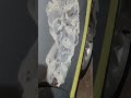 Giba está arrancando muita massa da lata do omegão.
