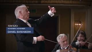 Daniel Barenboim 80 - The Conductor - YouTube 