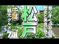 【千葉観光/グルメ】松戸市で外せない人気観光スポットと絶品グルメ満喫ガイド7選