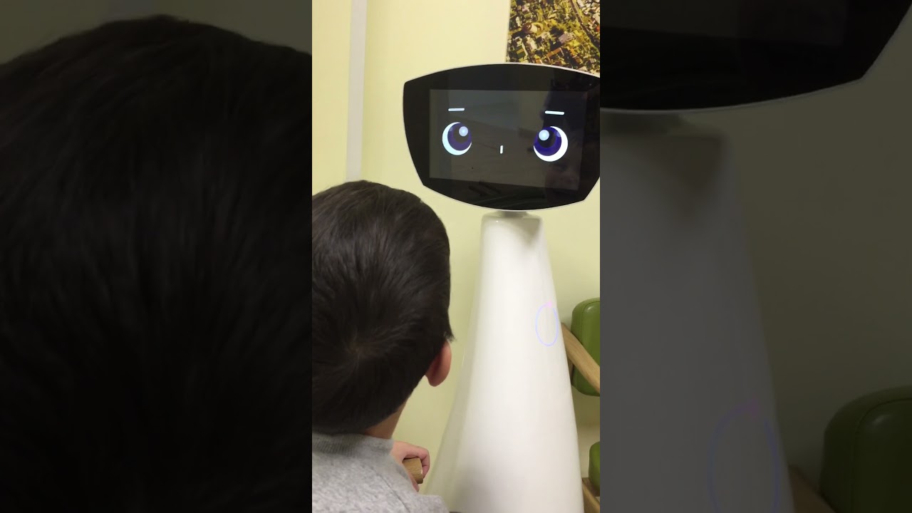 Ռոբոտ Ռոբին և Ժանը  (the robot Robin and Jean) (робот Робин и Жан)