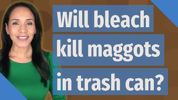 Will bleach kill maggots in trash can?