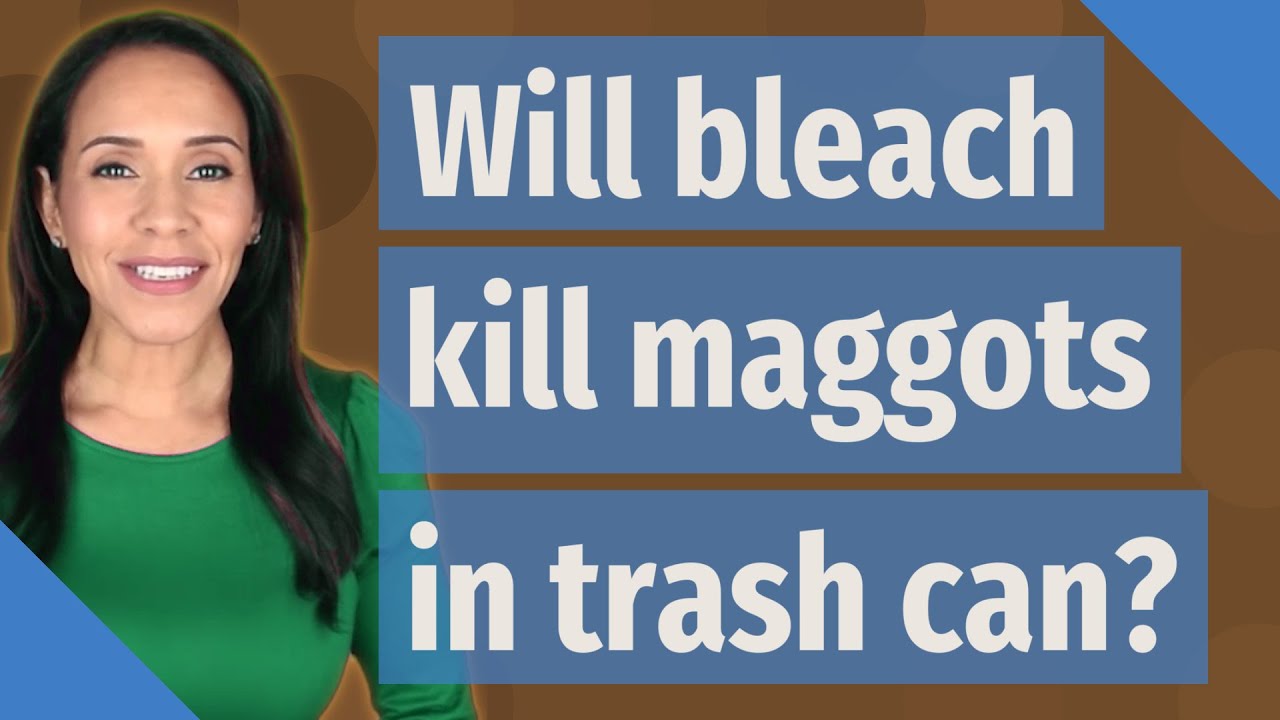Will bleach kill maggots in trash can? YouTube