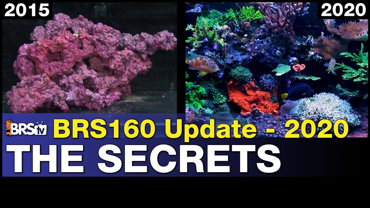 Wins And Secrets Of The Brs160.. 52-Weeks To 54-Months!