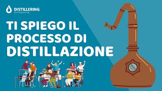 Che cos'è la Distillazione? Come funziona? Scopri il processo di Distillazione degli alcolici