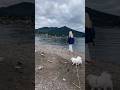 Спасибо Алтай тайм✨Водные экскурсии тоже можно приобрести сразу у ребят😌