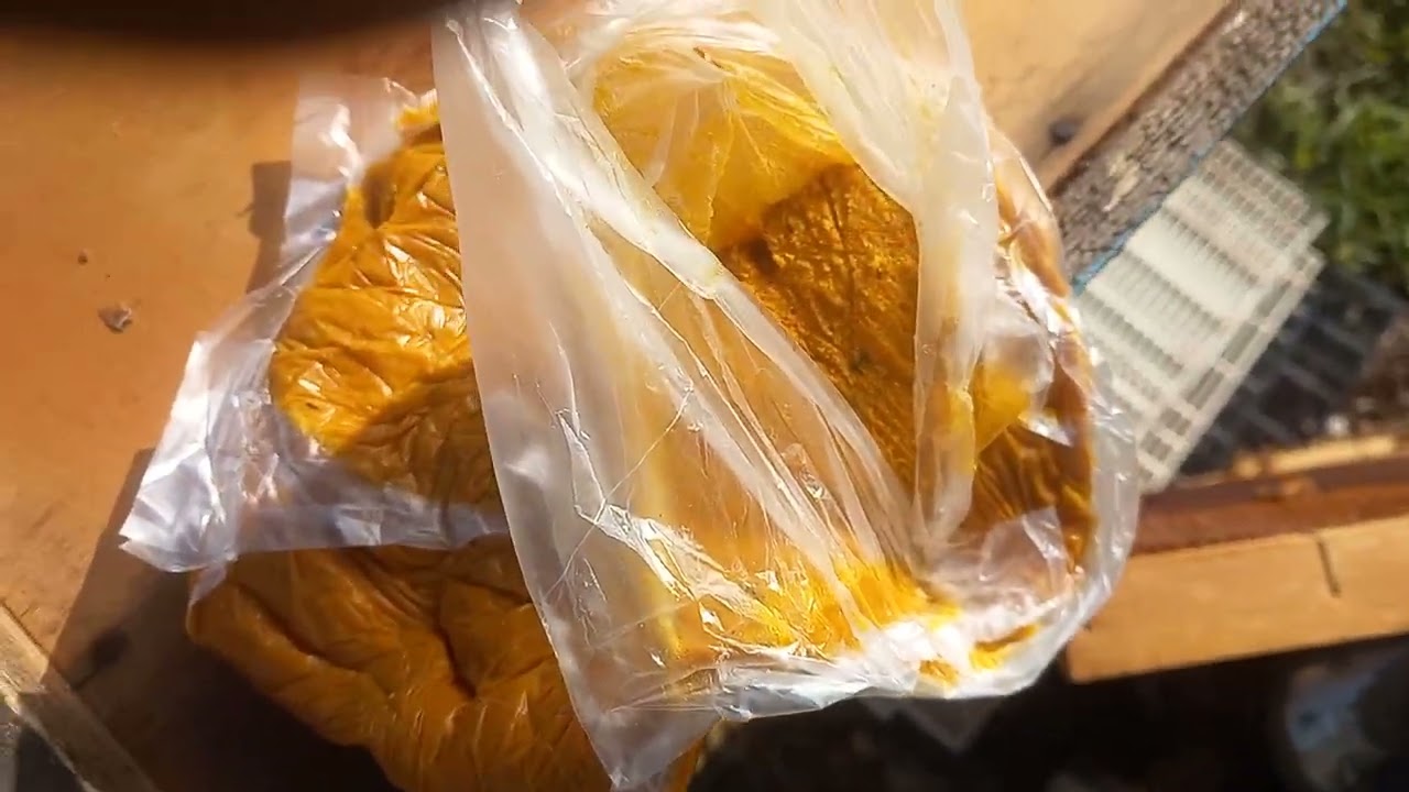 12. 02. 2026 Очередной облет пчёл. Смотрим корма, расплод, и утепляем. Даём белковую подкормку 