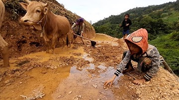 (Bản Mông 5) - Tận mắt xem người Mông làm ruộng bậc thang || TAMGIACMACH