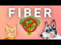 Forget vegetables this is the best fiber source for your pet