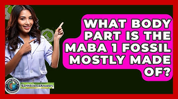 What Body Part Is The Maba 1 Fossil Mostly Made Of? - Earth Science Answers