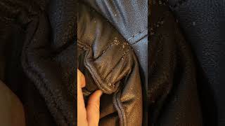 Do bed bugs die during a heat treatment?